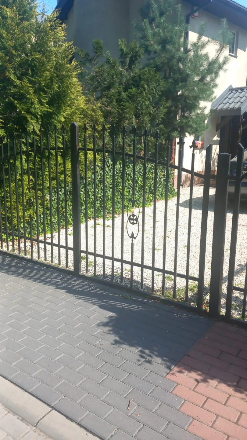 Zdjęcie 8