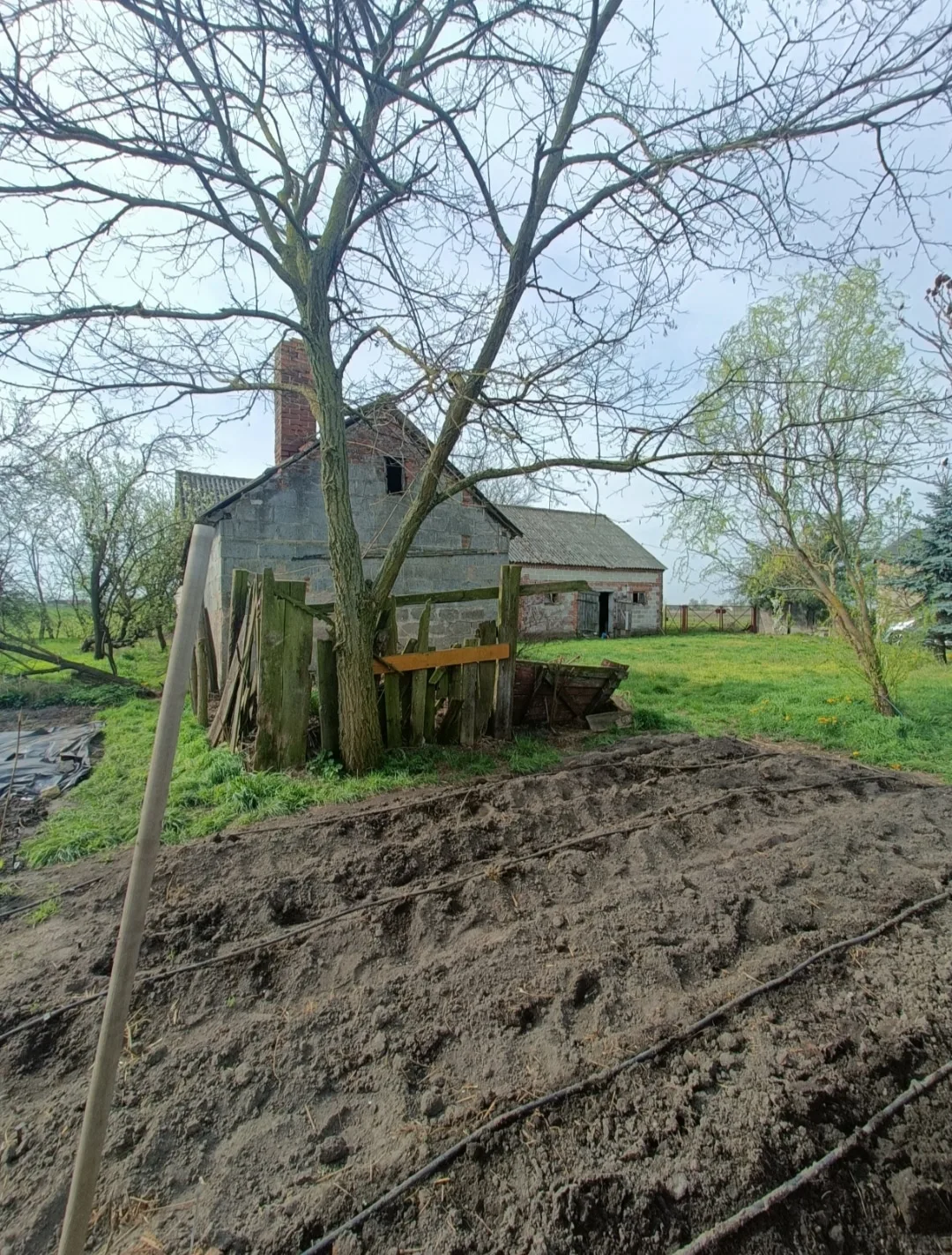 Siedlisko, drzewa owocowe, żyzna gleba, pozwolenie na rozbudowę 3 budynków