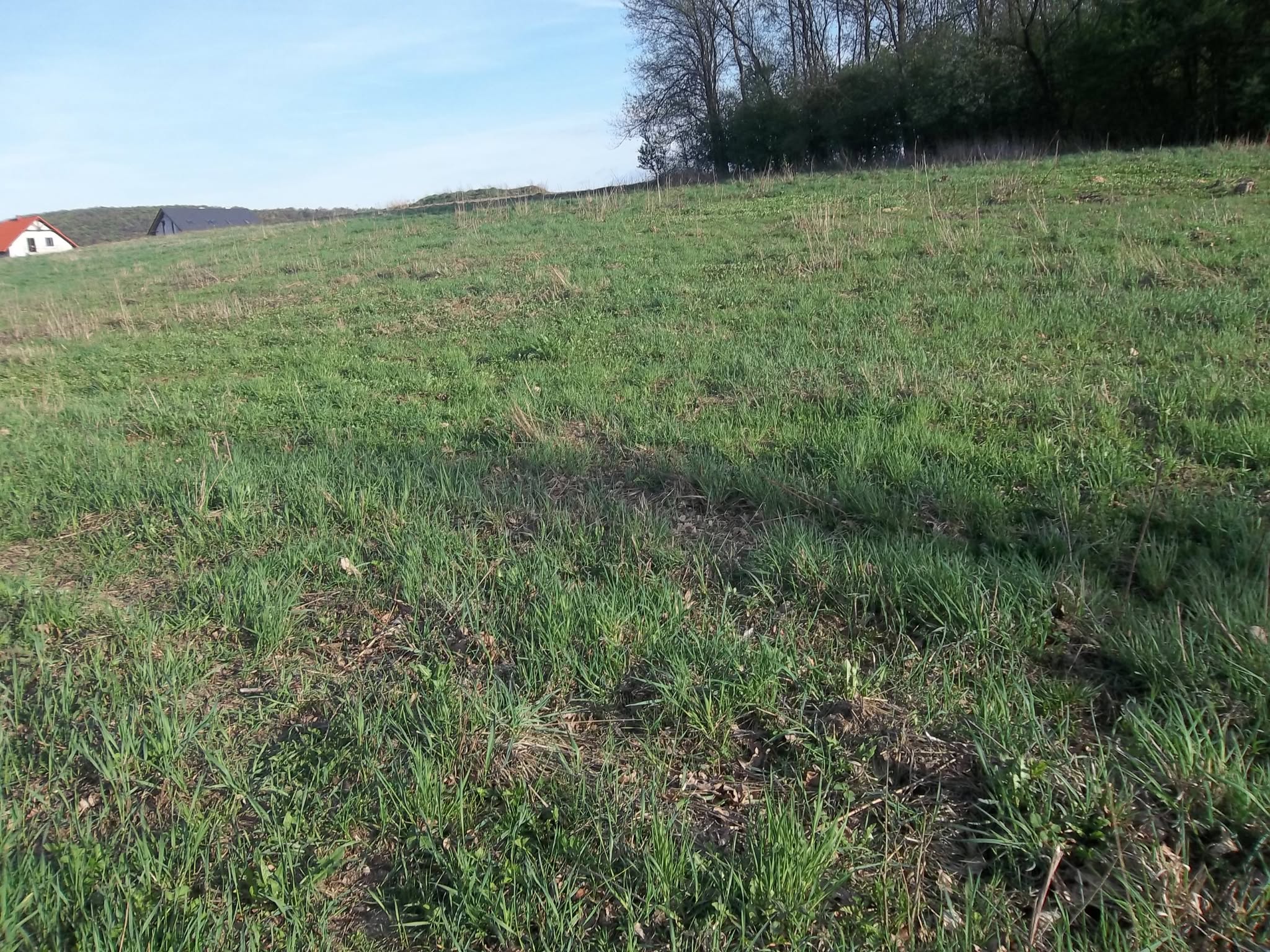 SPRZEDAM DZIAŁKĘ BUDOWLANĄ Z DOMEM