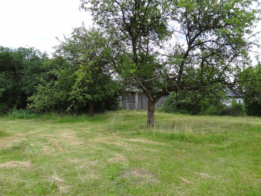 Nieruchomość rolna - dom i działka