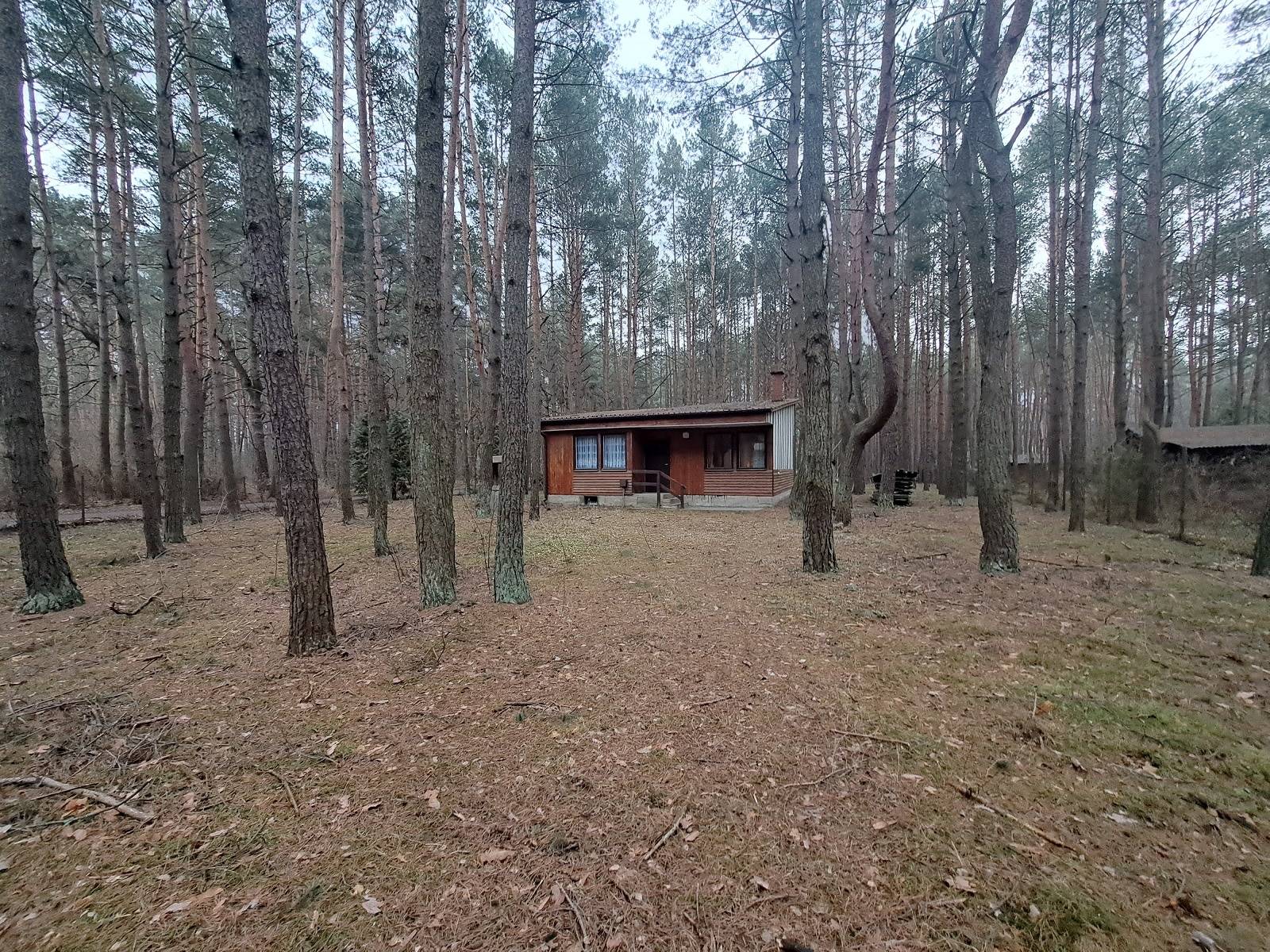 Ładna działka 3761m2 w lesie z domkiem Łosie mieszklano/usługowa z MPZP