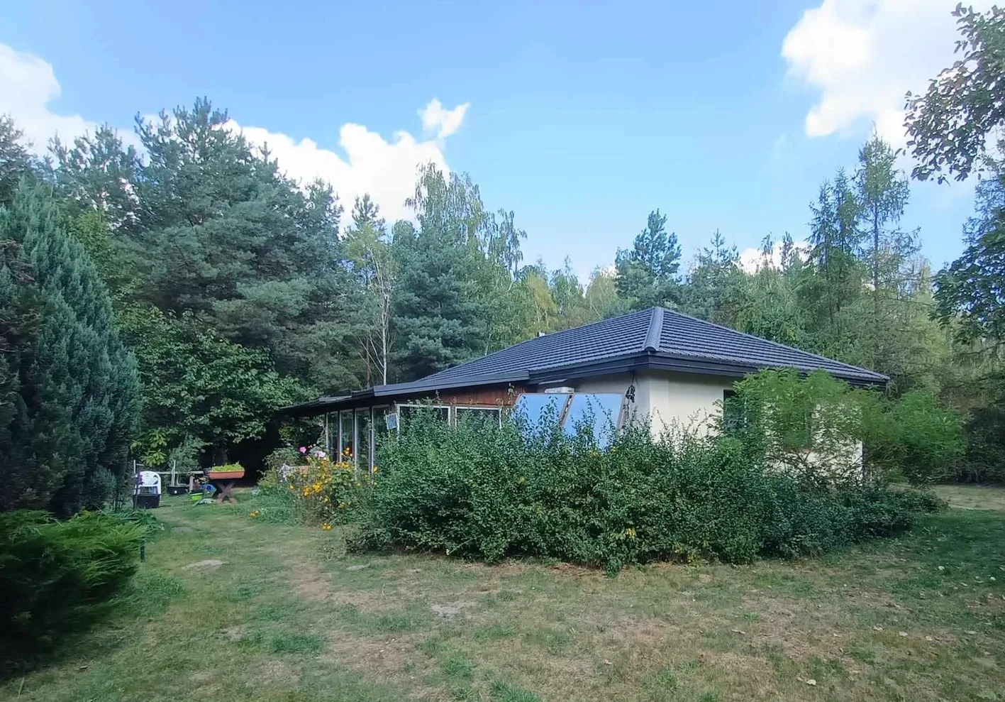 Posiadłość 4,6 ha z budynkami blisko Warszawy