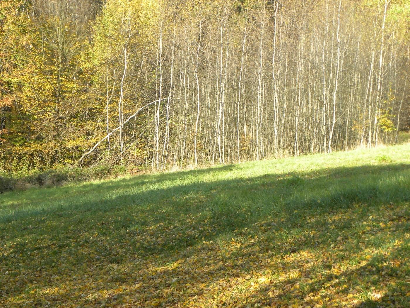 Gorlice, działka budowlana 23 a, 1067S/2022