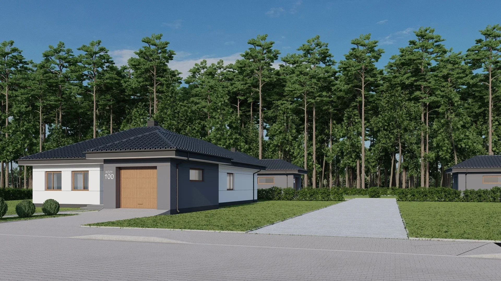 Nowoczesny dom wolnostojący - 141 m2 - Duża działka