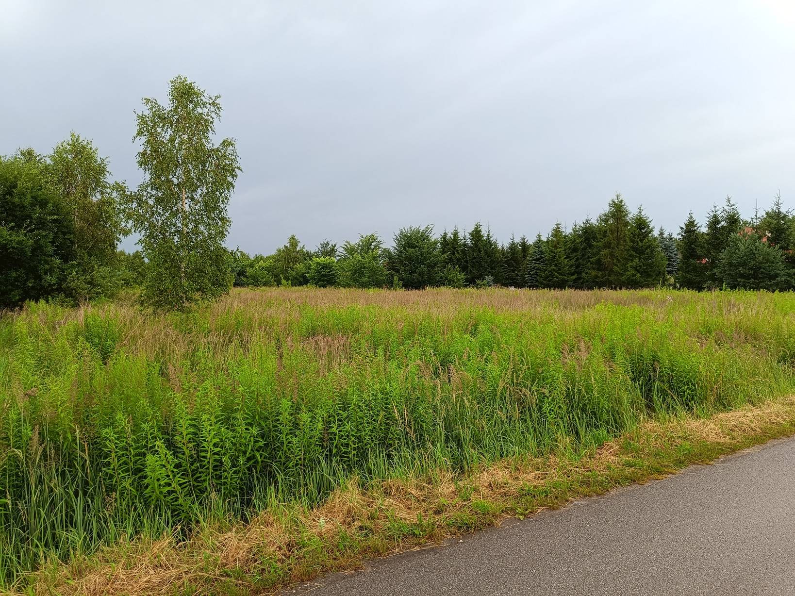 Działka Włodzimierzów 2427m2 150zł/m2