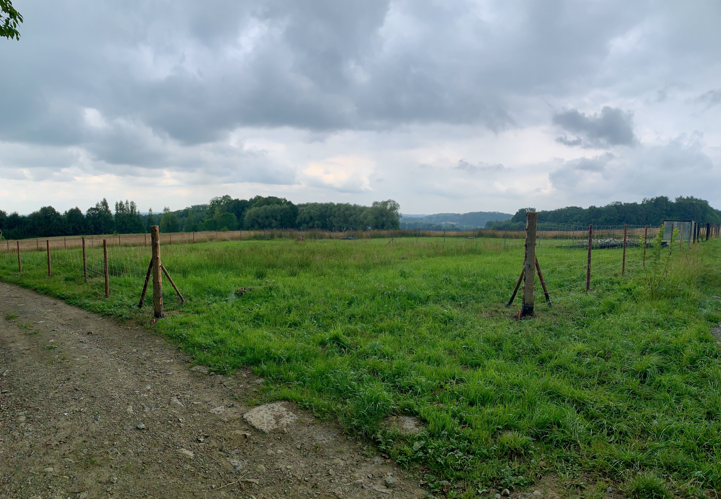 Działka budowlana w Grodźcu