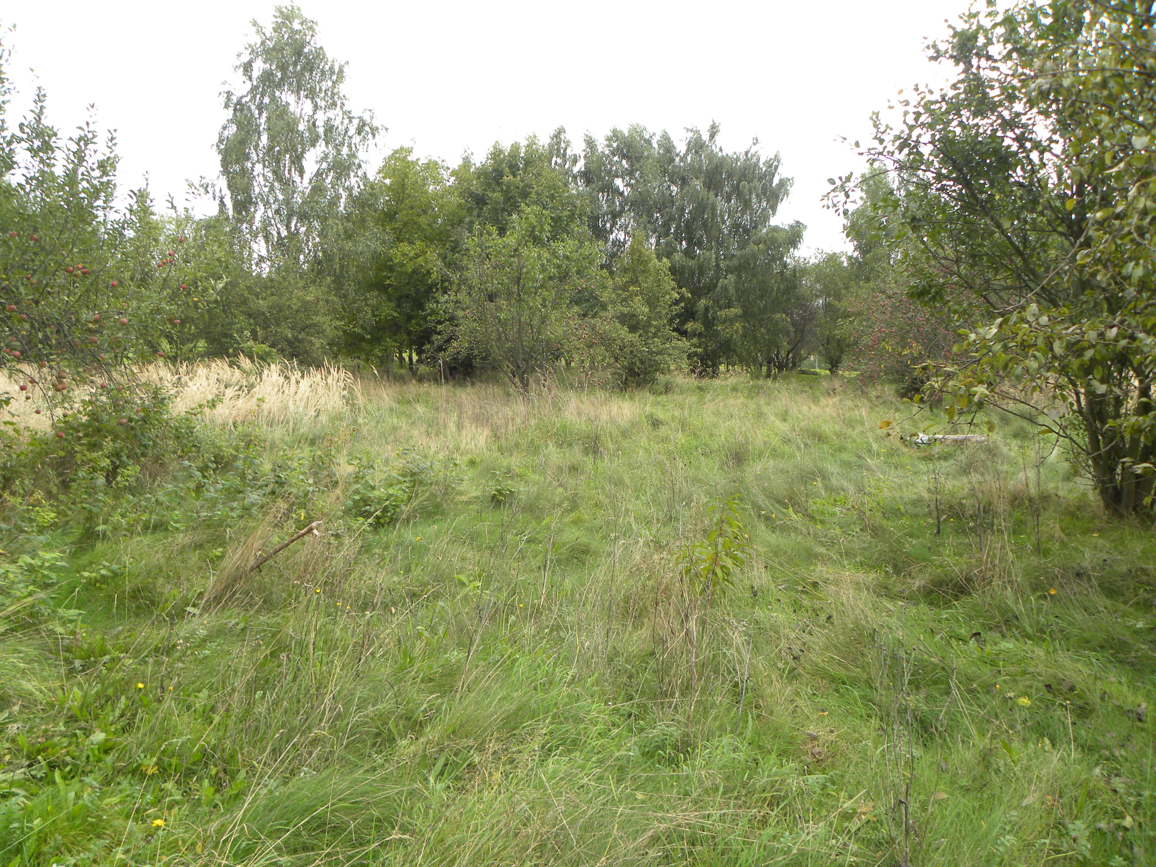 Ropica Polska, działka budowlana 21 a, 1023S/2021