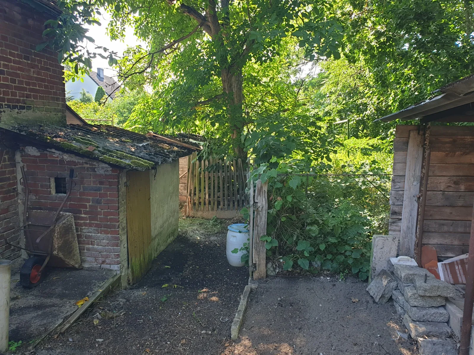 Zdjęcie 17