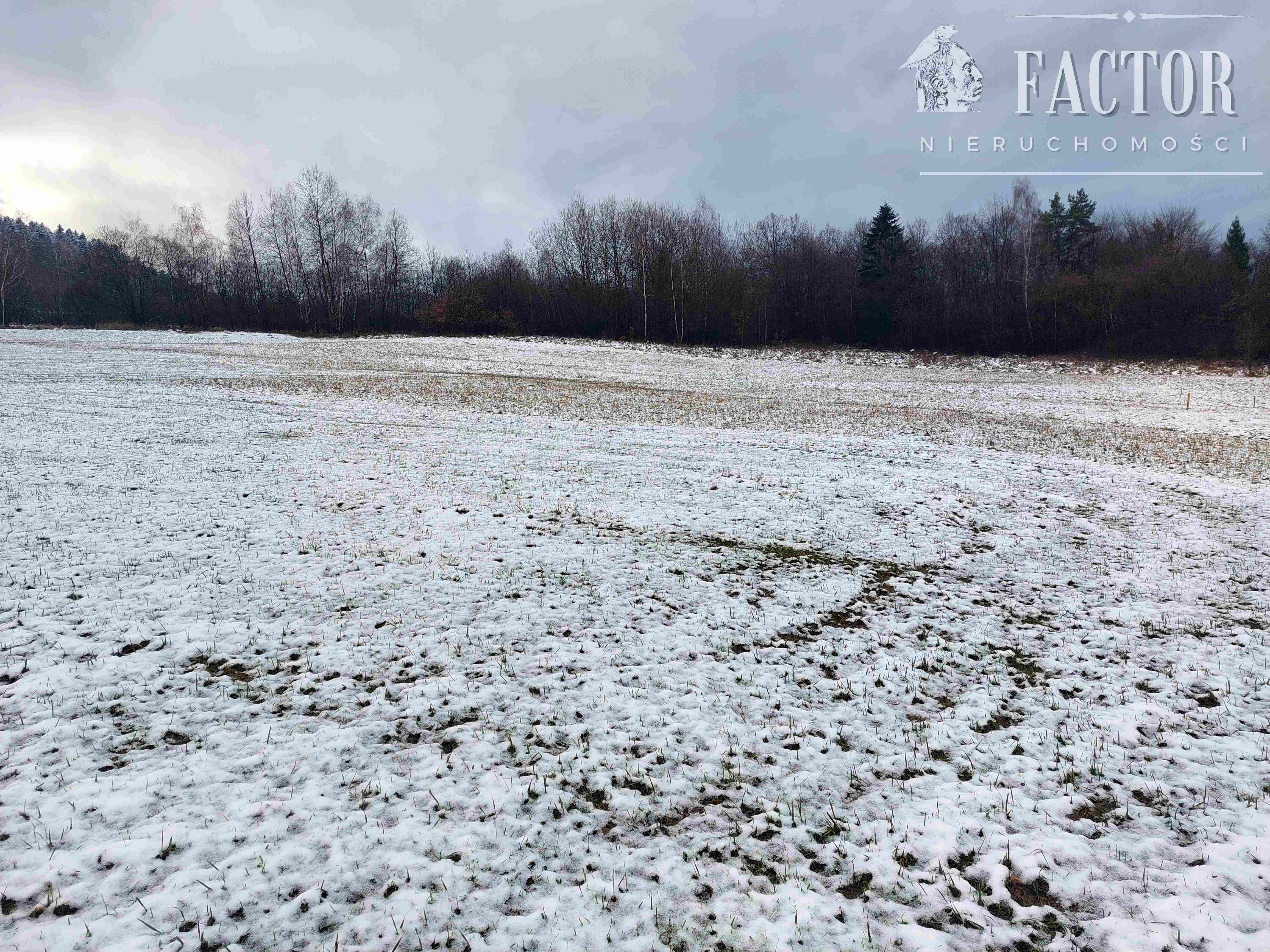 Klimkówka, działka usługowo-rekreacyjna, 1077S/2022