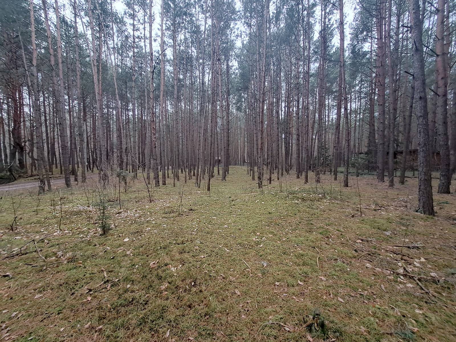 Ładna działka Łosie 2120m2 las, rzeka, 30 minut do Warszawy, MPZP