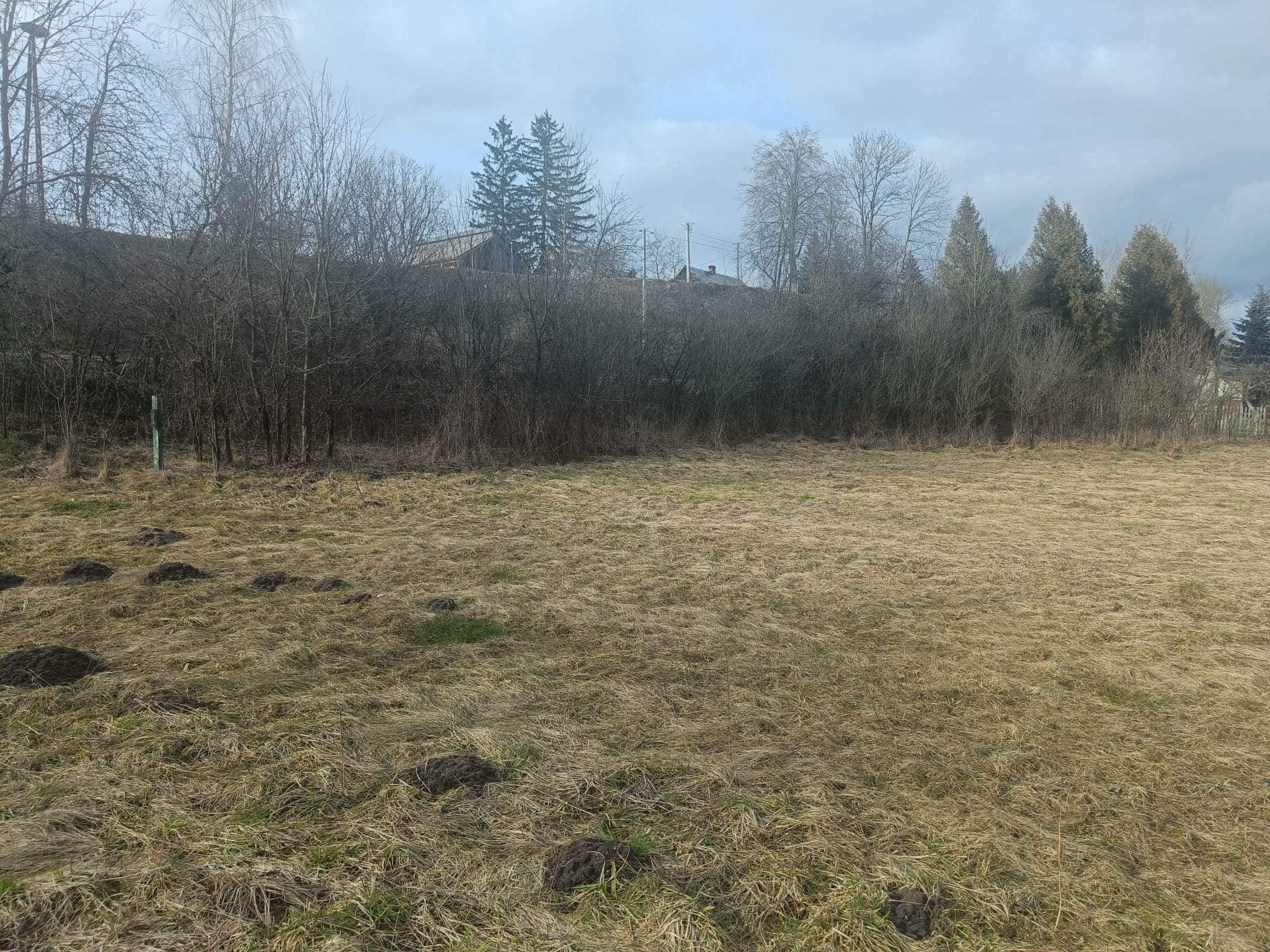 Działka rolna w miejscowości Stawki, pow. 3703 m2