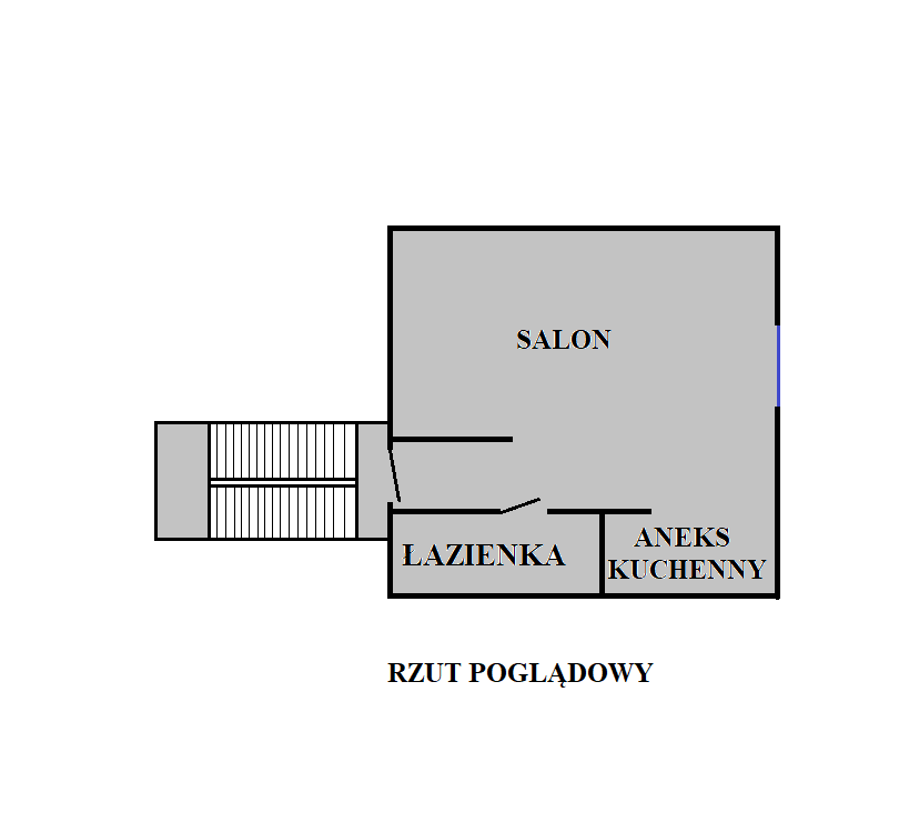 Kawalerka z widokiem na Park Strzelecki