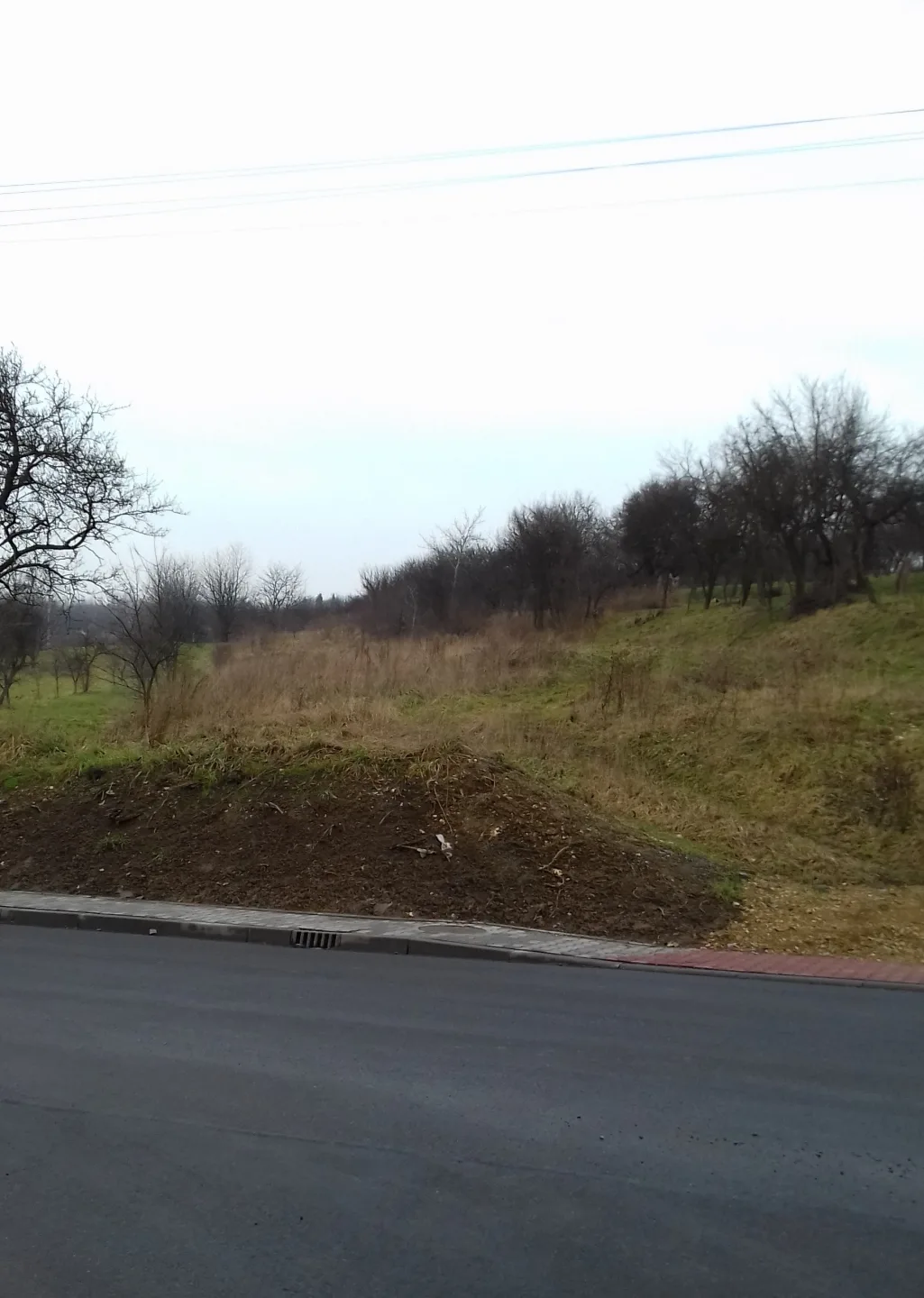 Morawica k.Krakowa-Działka 80ar