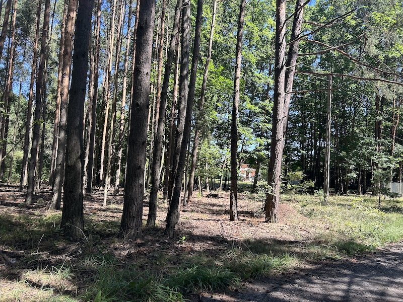 Sprzedam działkę budowlaną w Choroń gmina Poraj