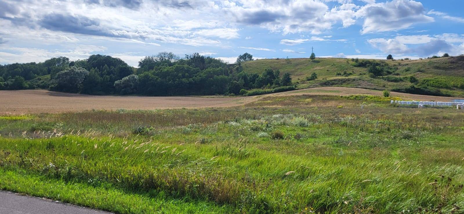 Działki budowlane w Grucznie