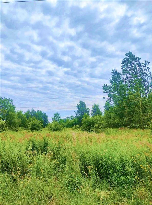 Działka budowlana 1455m2 w cichej i spokojnej części Koszalina przy ulicy Działkowej