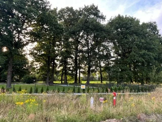 Działki Jeżów Sudecki BEZPOŚREDNIO