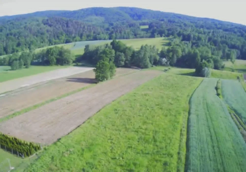 Lipnica Dolna - 7 hektarów 33 ary