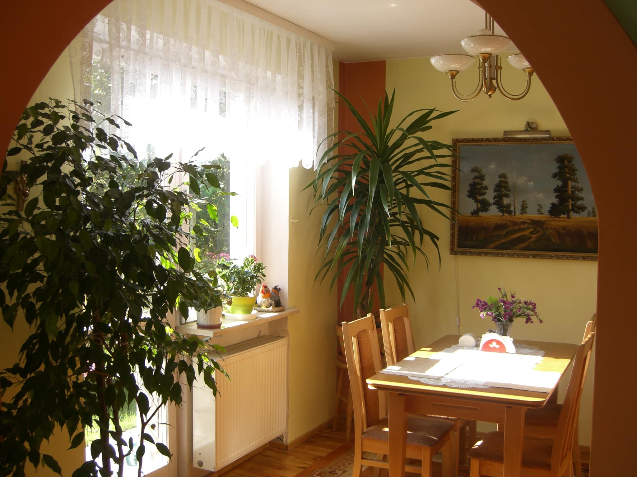 Dom-pensjonat z trzema osobnymi mieszkaniami