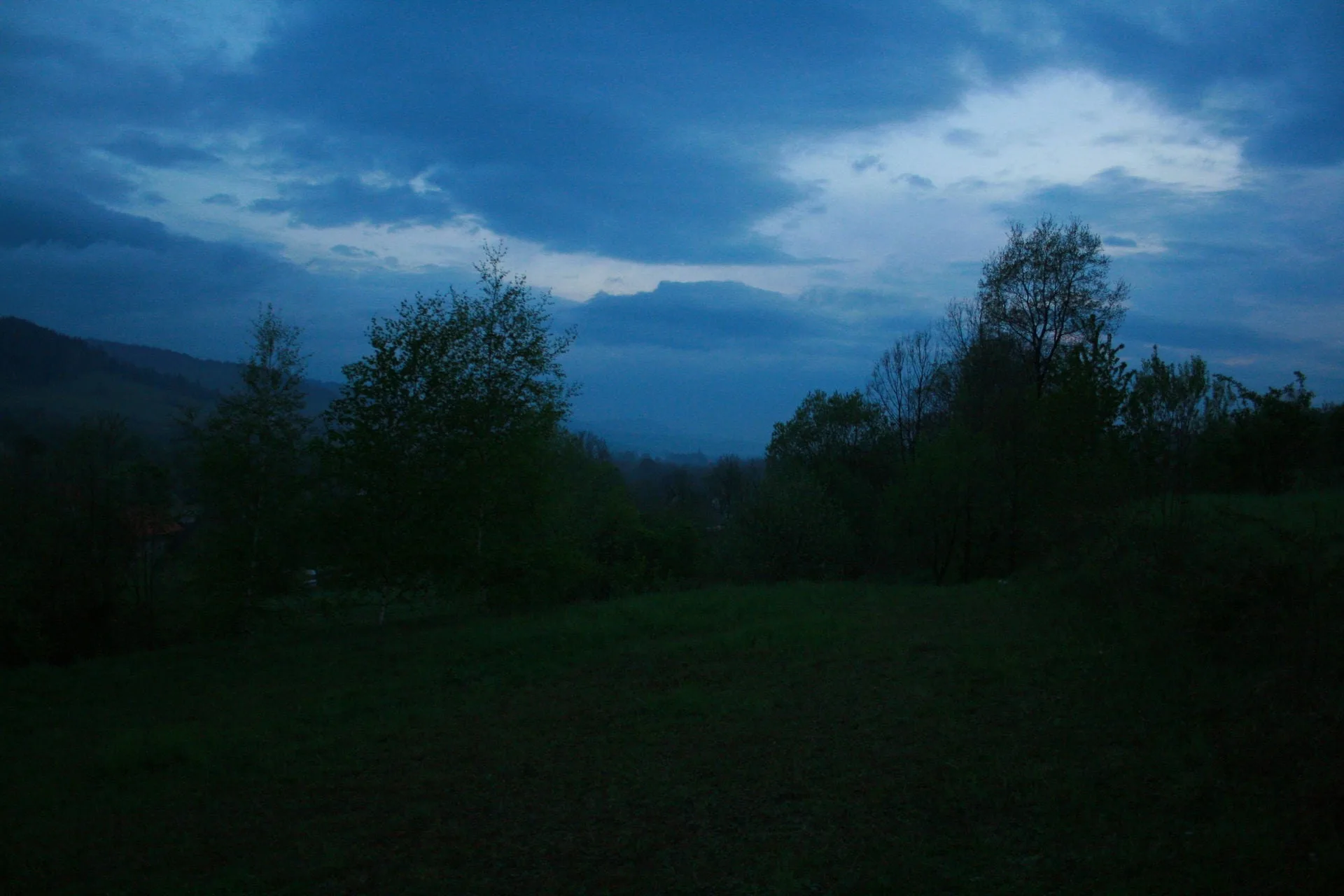 Zdjęcie 12