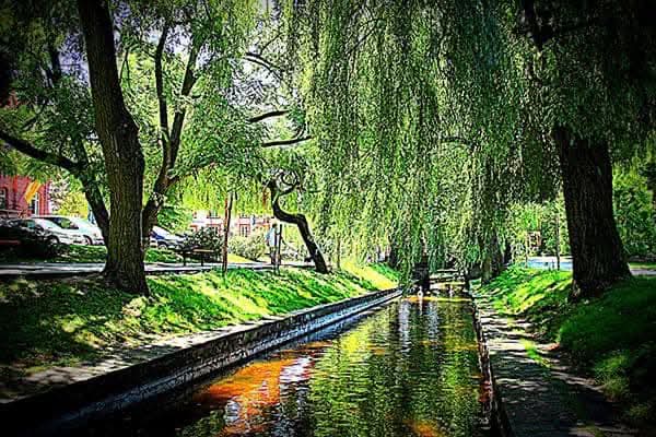 Mieszkanie w wyjątkowej lokalizacji