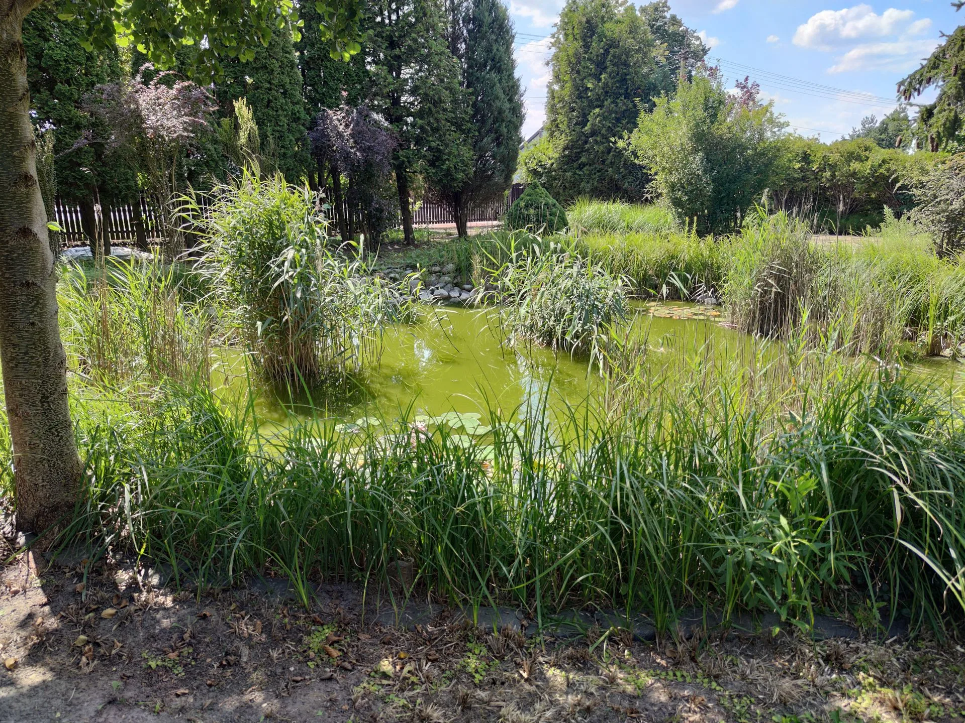 Zdjęcie 12