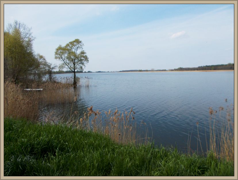 Przytulna kawalerka nad urokliwym jeziorem