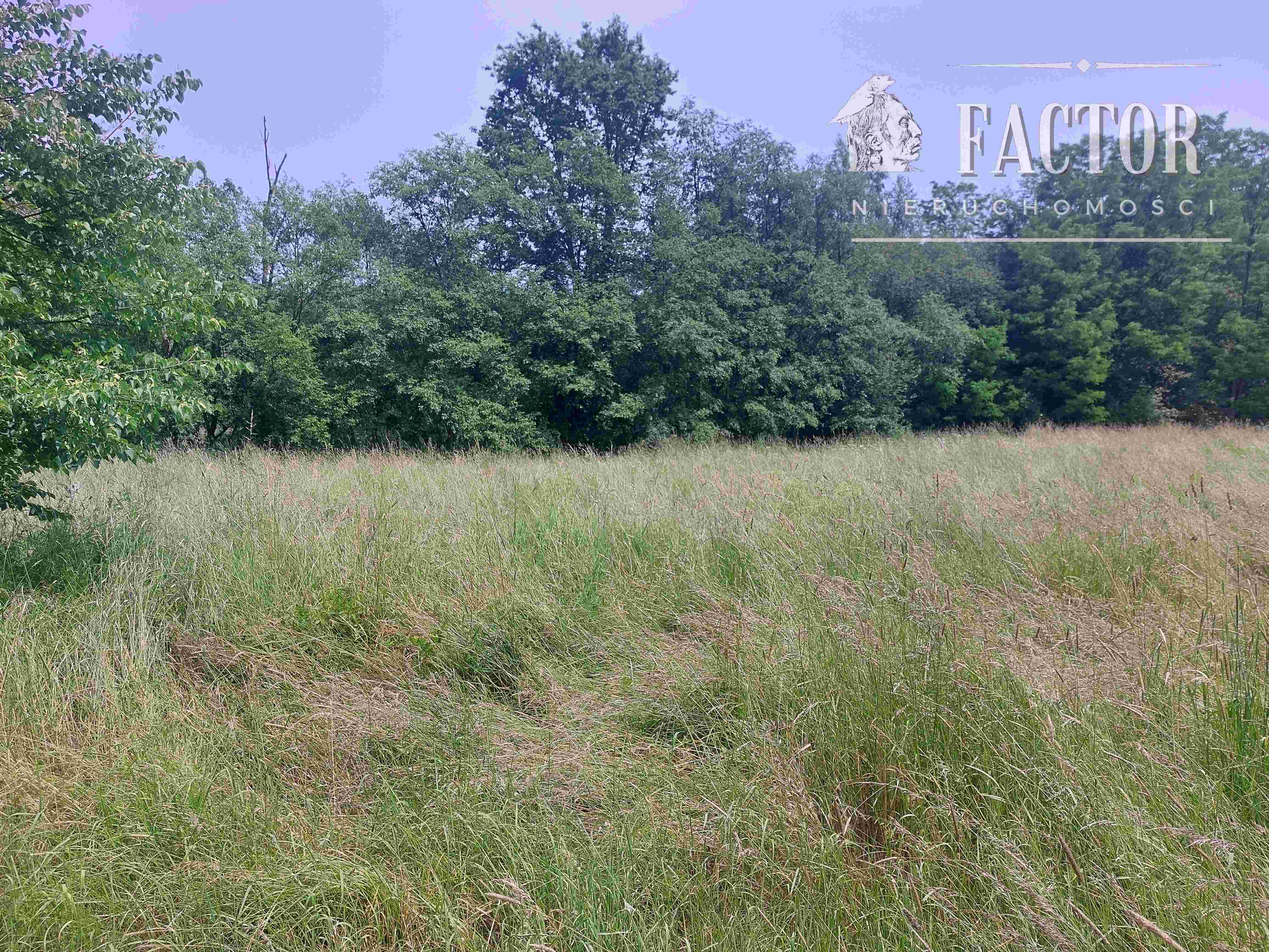 Libusza, działka rolna 0,49 ha, 1095S/2023