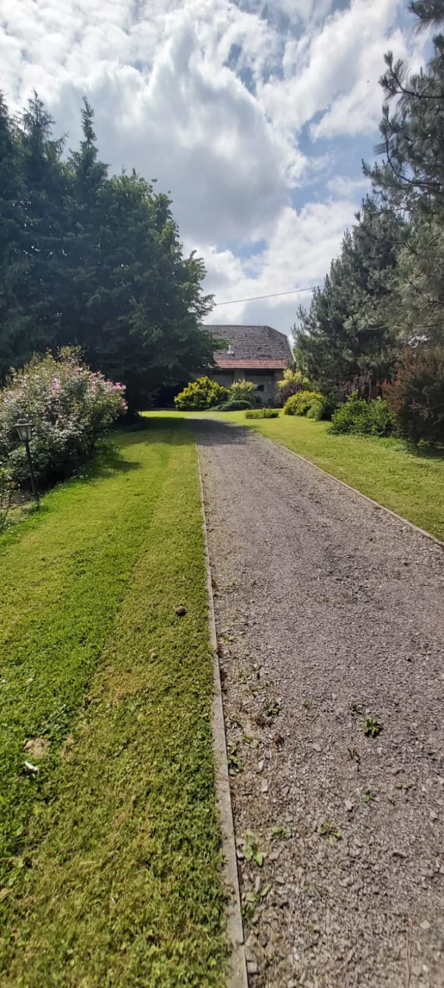 Siedlisko 1,1 ha + stodoła 400 m² | Kończyce Wielkie