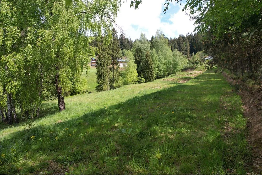 Działka inwestycyjna w Nowym Targu - Oleksówki